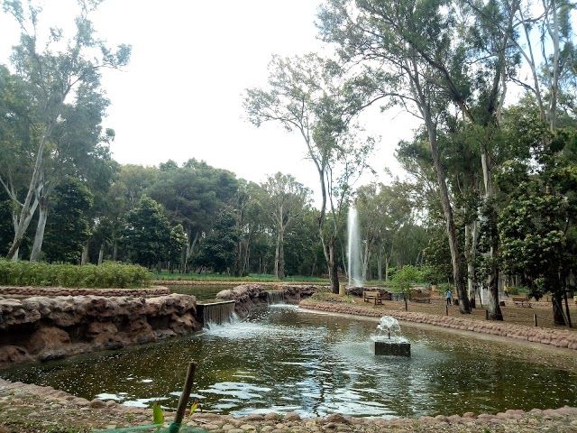 Forêt Urbaine Ibn Sina "Hilton"