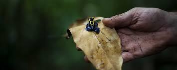 Réserves Naturelles de France