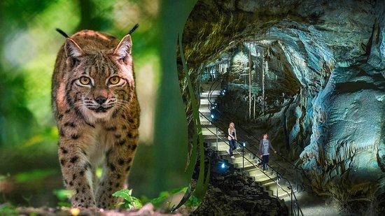 Domaine des Grottes de Han