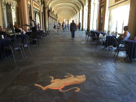 Il toro in piazza San Carlo