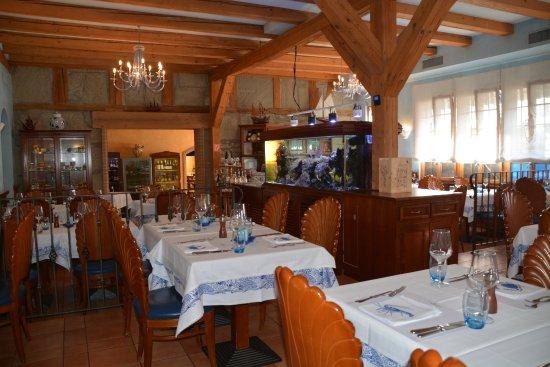 Azzurro Terra e Mare