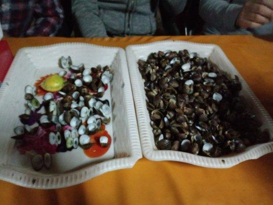 Huitres de Sokone