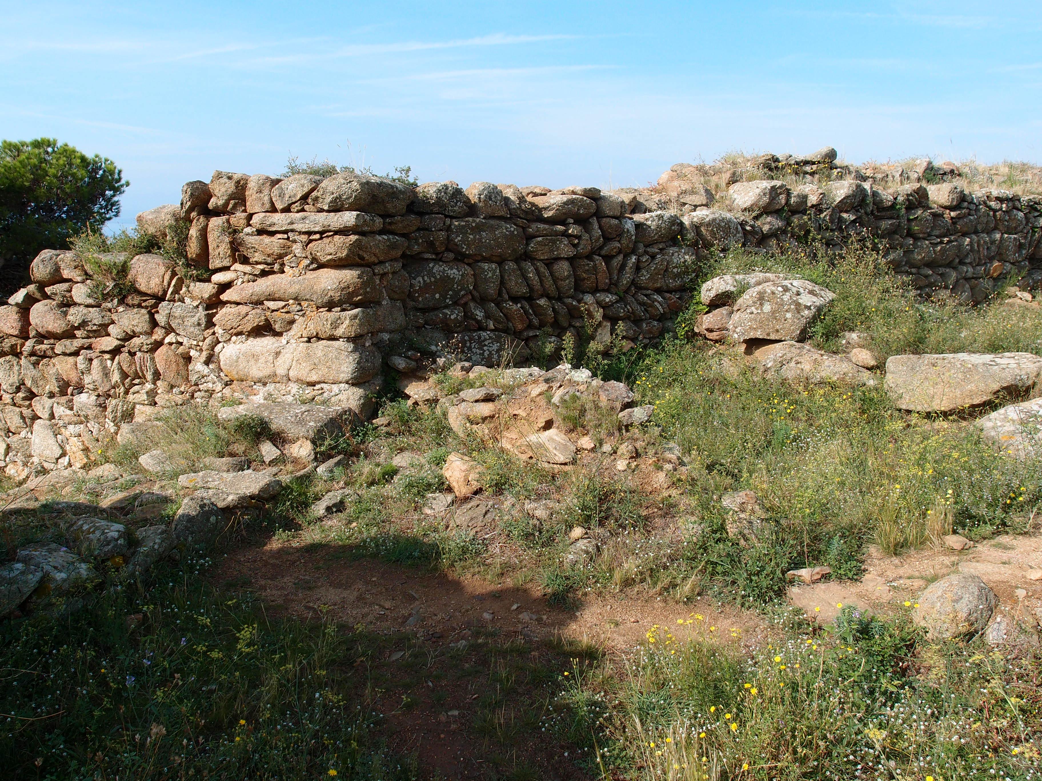 Castrum de Puig Rom