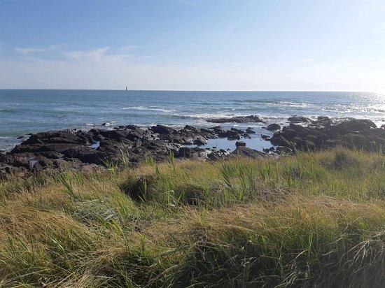 Plage de La Paracou