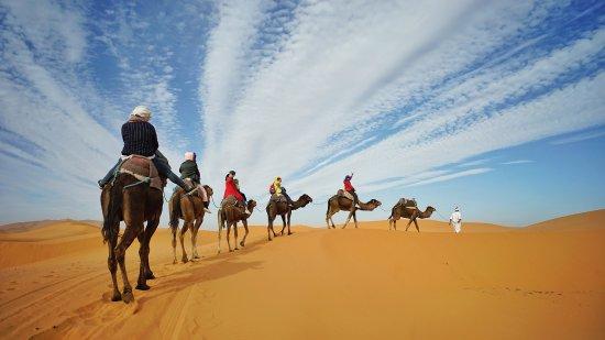 Adrar Tours