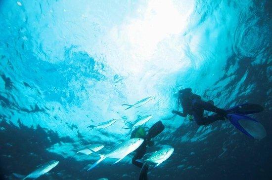 Diving Center Tangier
