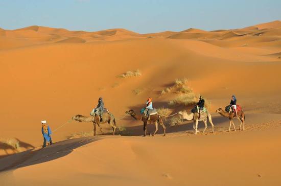 Morocco Nomad Tours