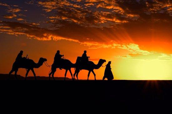 Disfruta por Marruecos
