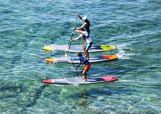 Stand Up Paddle - Societe Nautique La Ciotat