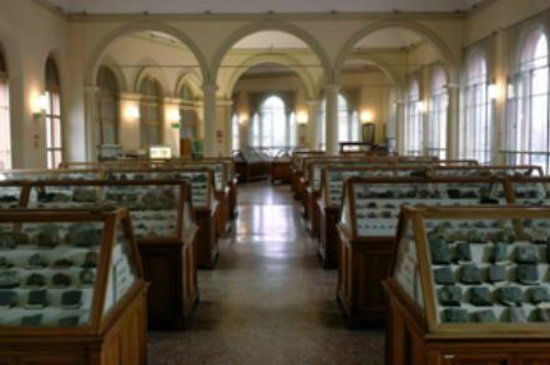 Musée de minéralogie Luigi Bombicci