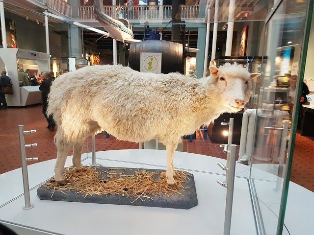 musée national d'Ecosse