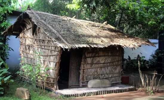 Musée Ethnographique des Peuples de la Fôret