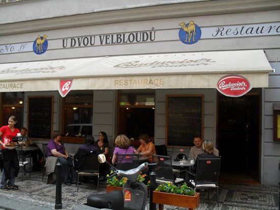 Restaurace U dvou velbloudu