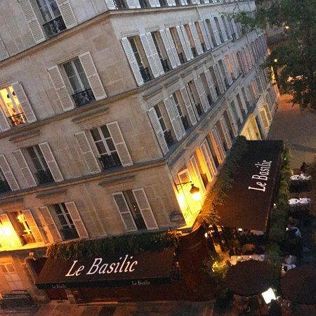 Le Basilic
