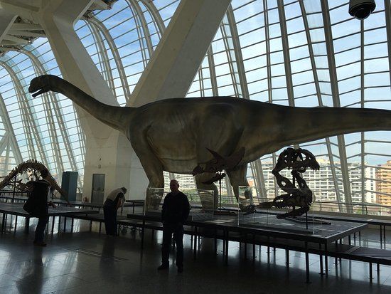 Musée de sciencies naturelles