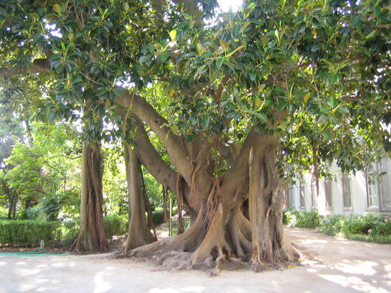 Muséum national d'Histoire naturelle