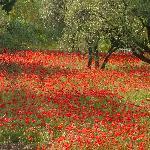 Les Ptits Plats Dans les Grands