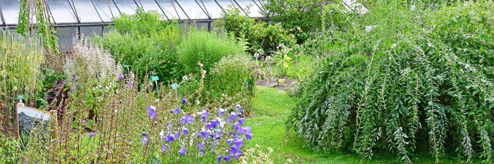 Jardin botanique de l'université de Strasbourg