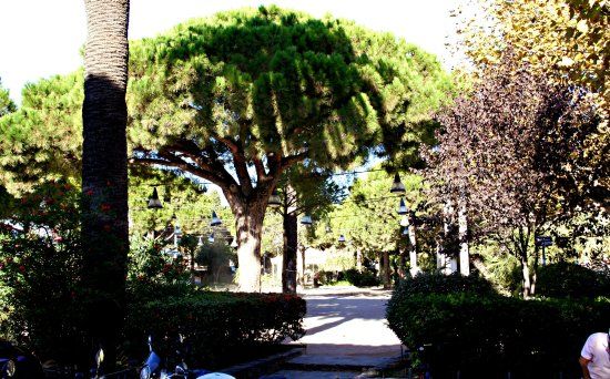 Promenade Aymeric Simon Lorière