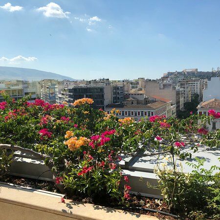 Le Café Hondos Center Kolonaki