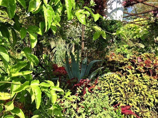 Parc floral de la Roseraie